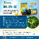 DHA.EPA + SQ5.webp