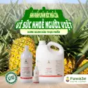 Nước Ngâm Rửa Thực Phẩm