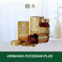 Okinawa Fucoidan Plus